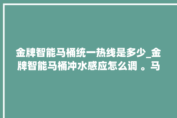 金牌智能马桶统一热线是多少_金牌智能马桶冲水感应怎么调 。马桶