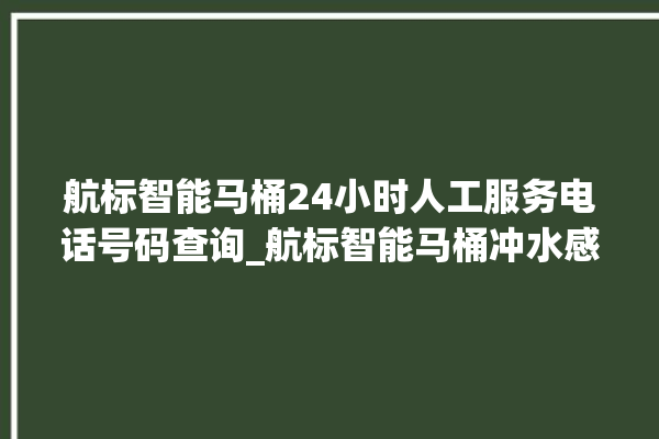 航标智能马桶24小时人工服务电话号码查询_航标智能马桶冲水感应怎么调 。航标