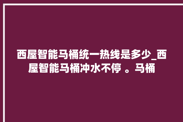 西屋智能马桶统一热线是多少_西屋智能马桶冲水不停 。马桶