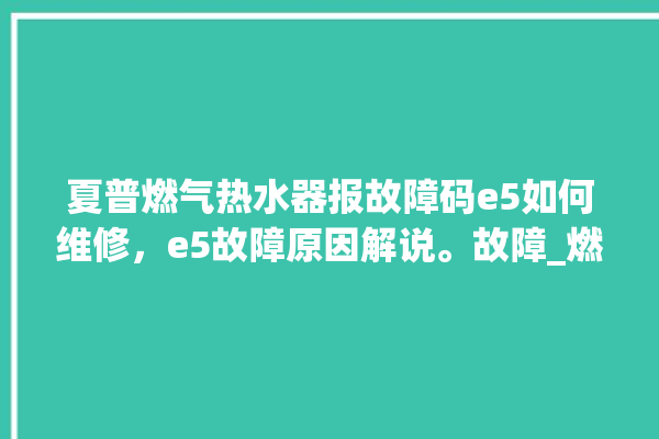 夏普燃气热水器报故障码e5如何维修，e5故障原因解说。故障_燃气热水器