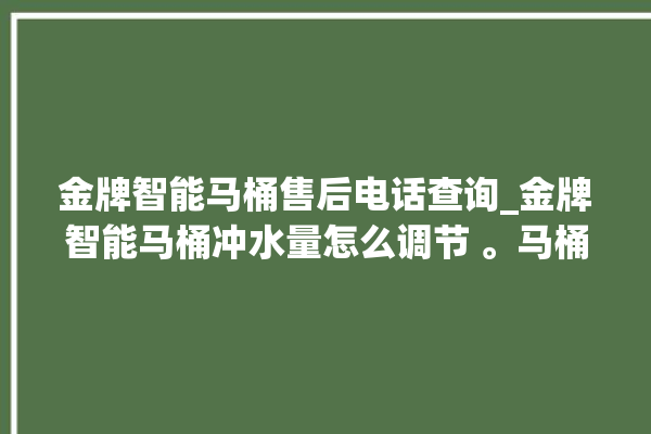 金牌智能马桶售后电话查询_金牌智能马桶冲水量怎么调节 。马桶