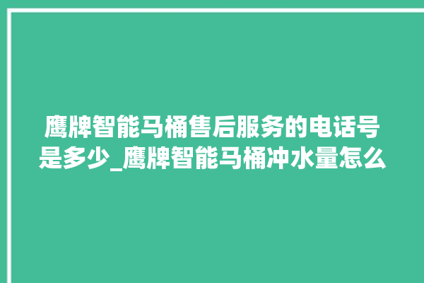 鹰牌智能马桶售后服务的电话号是多少_鹰牌智能马桶冲水量怎么调节 。马桶