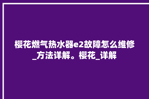 樱花燃气热水器e2故障怎么维修_方法详解。樱花_详解