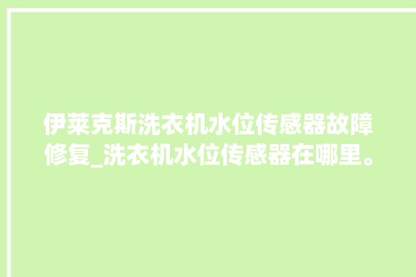 伊莱克斯洗衣机水位传感器故障修复_洗衣机水位传感器在哪里。水位_伊莱克斯