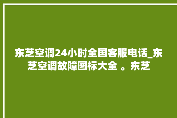 东芝空调24小时全国客服电话_东芝空调故障图标大全 。东芝