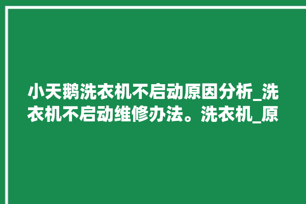 小天鹅洗衣机不启动原因分析_洗衣机不启动维修办法。洗衣机_原因