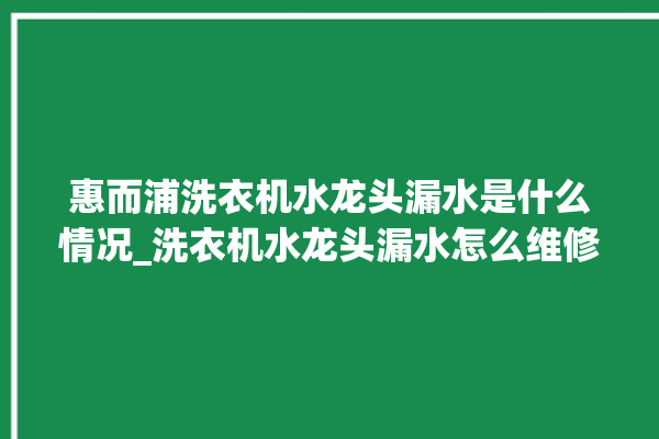 惠而浦洗衣机水龙头漏水是什么情况_洗衣机水龙头漏水怎么维修_。水龙头_洗衣机