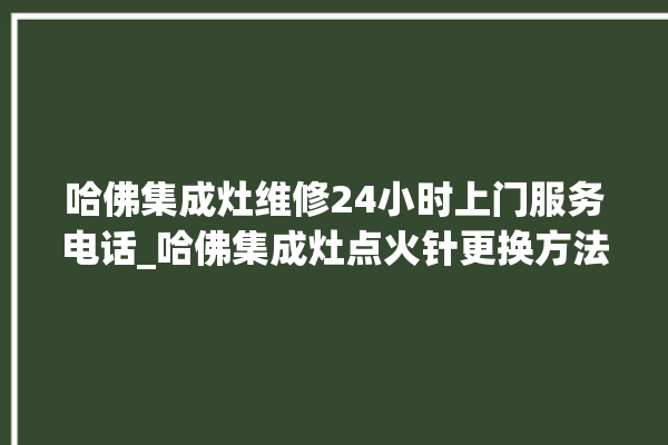 哈佛集成灶维修24小时上门服务电话_哈佛集成灶点火针更换方法 。哈佛