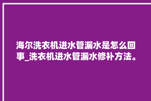 海尔洗衣机进水管漏水是怎么回事_洗衣机进水管漏水修补方法。洗衣机_海尔