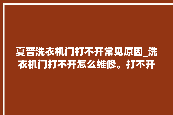 夏普洗衣机门打不开常见原因_洗衣机门打不开怎么维修。打不开_洗衣机