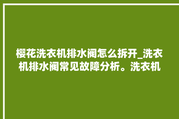 樱花洗衣机排水阀怎么拆开_洗衣机排水阀常见故障分析。洗衣机_樱花