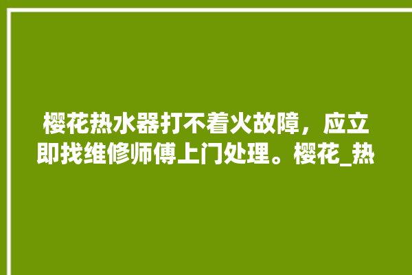 樱花热水器打不着火故障，应立即找维修师傅上门处理。樱花_热水器