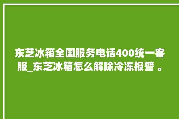 东芝冰箱全国服务电话400统一客服_东芝冰箱怎么解除冷冻报警 。东芝