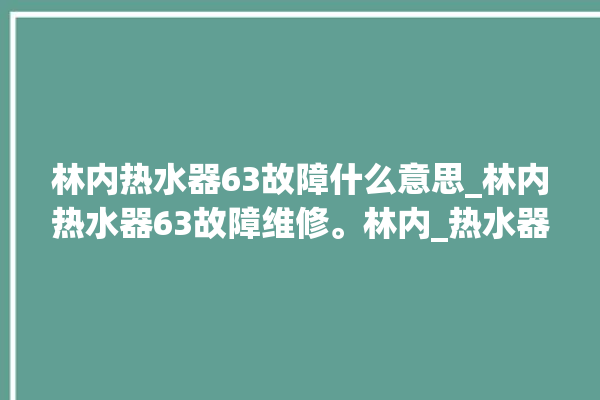 林内热水器63故障什么意思_林内热水器63故障维修。林内_热水器