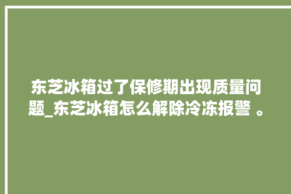 东芝冰箱过了保修期出现质量问题_东芝冰箱怎么解除冷冻报警 。东芝