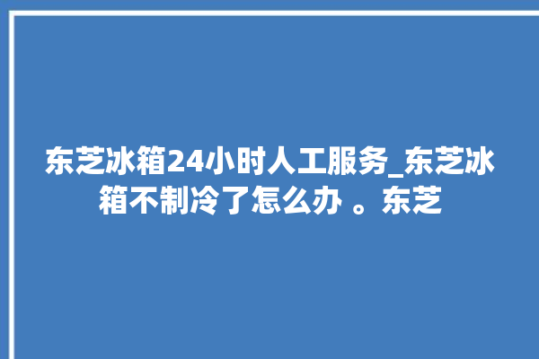 东芝冰箱24小时人工服务_东芝冰箱不制冷了怎么办 。东芝