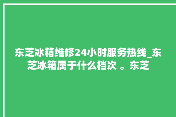 东芝冰箱维修24小时服务热线_东芝冰箱属于什么档次 。东芝