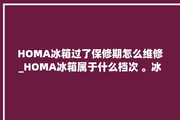 HOMA冰箱过了保修期怎么维修_HOMA冰箱属于什么档次 。冰箱