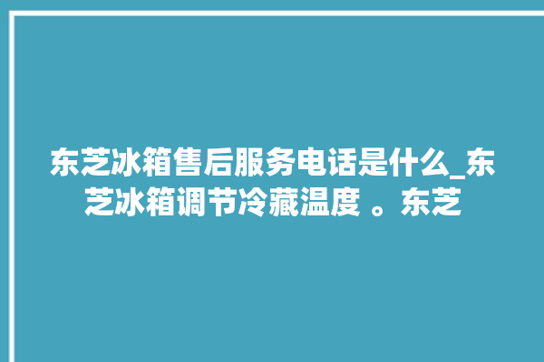 东芝冰箱售后服务电话是什么_东芝冰箱调节冷藏温度 。东芝