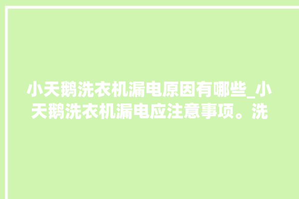 小天鹅洗衣机漏电原因有哪些_小天鹅洗衣机漏电应注意事项。洗衣机_应注意