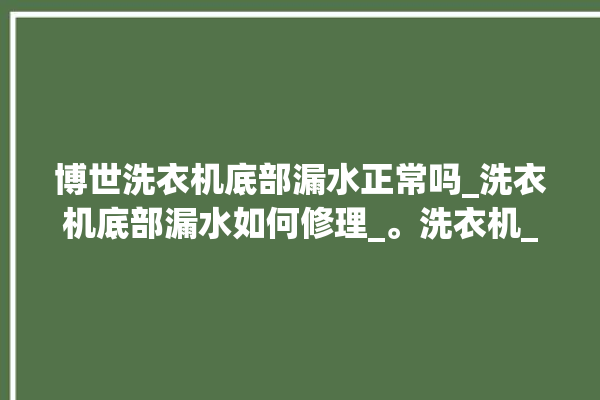 博世洗衣机底部漏水正常吗_洗衣机底部漏水如何修理_。洗衣机_博世