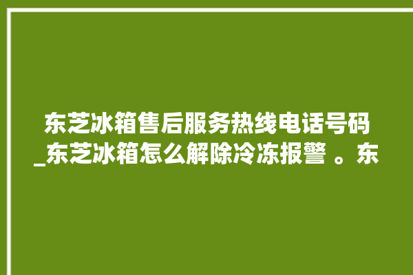 东芝冰箱售后服务热线电话号码_东芝冰箱怎么解除冷冻报警 。东芝