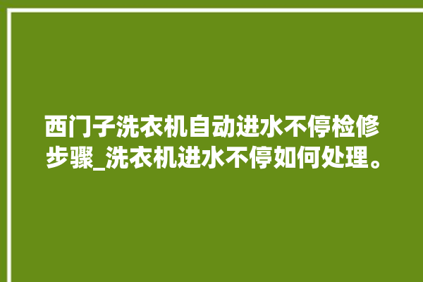 西门子洗衣机自动进水不停检修步骤_洗衣机进水不停如何处理。洗衣机_如何处理