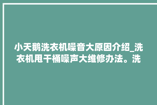 小天鹅洗衣机噪音大原因介绍_洗衣机甩干桶噪声大维修办法。洗衣机_噪声