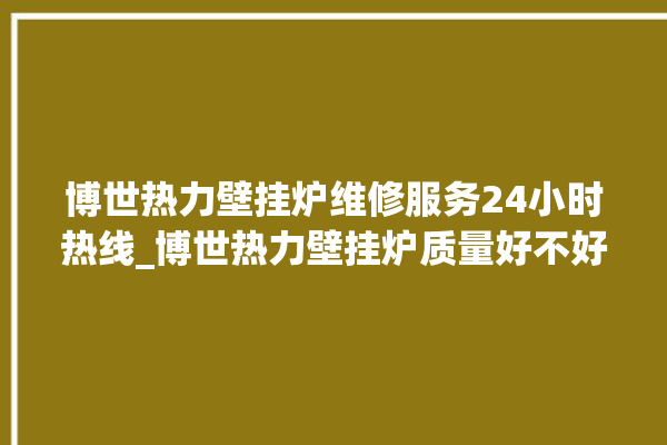 博世热力壁挂炉维修服务24小时热线_博世热力壁挂炉质量好不好 。热力