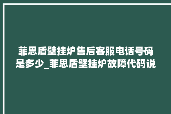 菲思盾壁挂炉售后客服电话号码是多少_菲思盾壁挂炉故障代码说明 。客服