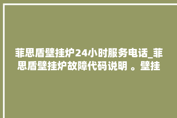 菲思盾壁挂炉24小时服务电话_菲思盾壁挂炉故障代码说明 。壁挂炉