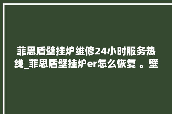 菲思盾壁挂炉维修24小时服务热线_菲思盾壁挂炉er怎么恢复 。壁挂炉