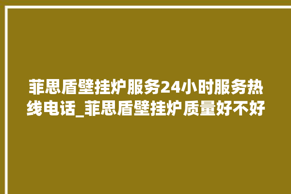 菲思盾壁挂炉服务24小时服务热线电话_菲思盾壁挂炉质量好不好 。壁挂炉