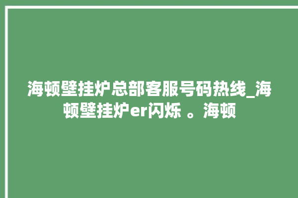 海顿壁挂炉总部客服号码热线_海顿壁挂炉er闪烁 。海顿