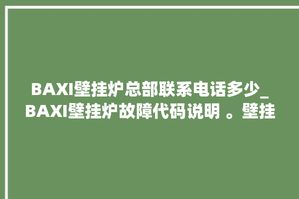 BAXI壁挂炉总部联系电话多少_BAXI壁挂炉故障代码说明 。壁挂炉