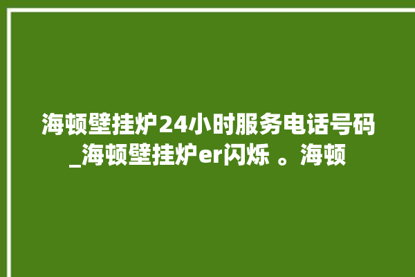 海顿壁挂炉24小时服务电话号码_海顿壁挂炉er闪烁 。海顿