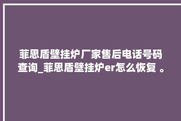 菲思盾壁挂炉厂家售后电话号码查询_菲思盾壁挂炉er怎么恢复 。壁挂炉