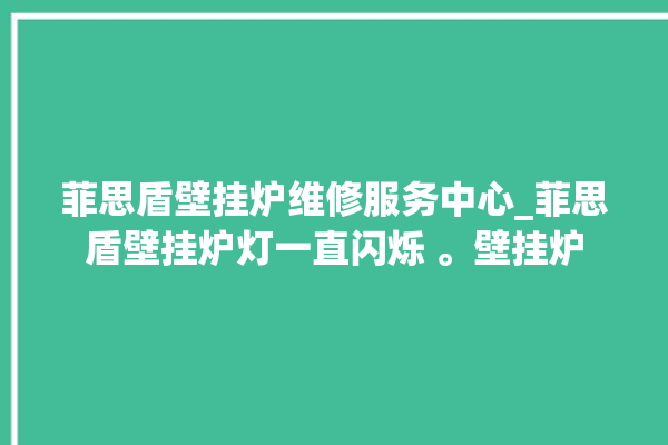 菲思盾壁挂炉维修服务中心_菲思盾壁挂炉灯一直闪烁 。壁挂炉