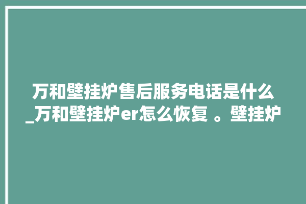 万和壁挂炉售后服务电话是什么_万和壁挂炉er怎么恢复 。壁挂炉