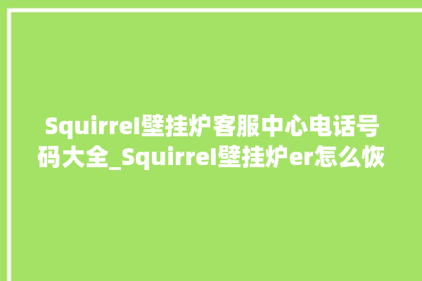 SquirreI壁挂炉客服中心电话号码大全_SquirreI壁挂炉er怎么恢复 。壁挂炉