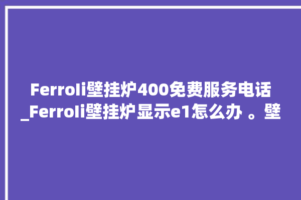 FerroIi壁挂炉400免费服务电话_FerroIi壁挂炉显示e1怎么办 。壁挂炉