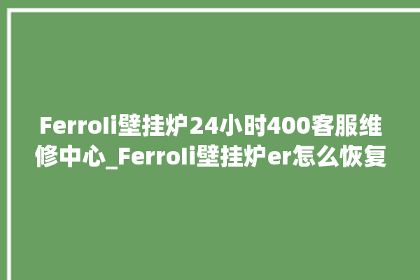 FerroIi壁挂炉24小时400客服维修中心_FerroIi壁挂炉er怎么恢复 。客服