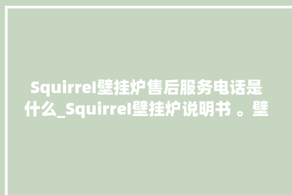 SquirreI壁挂炉售后服务电话是什么_SquirreI壁挂炉说明书 。壁挂炉