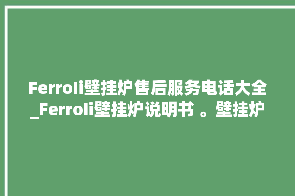 FerroIi壁挂炉售后服务电话大全_FerroIi壁挂炉说明书 。壁挂炉