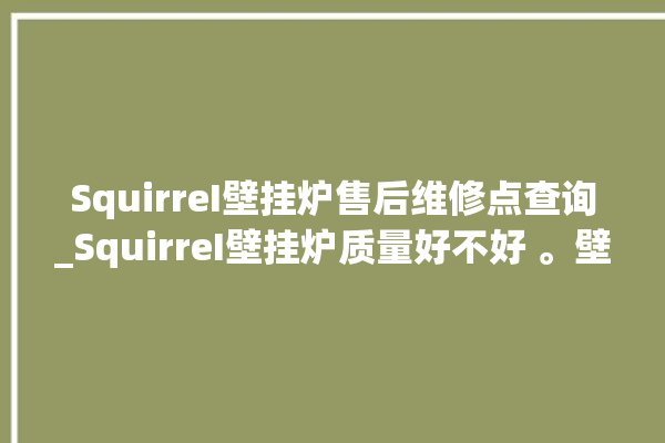 SquirreI壁挂炉售后维修点查询_SquirreI壁挂炉质量好不好 。壁挂炉