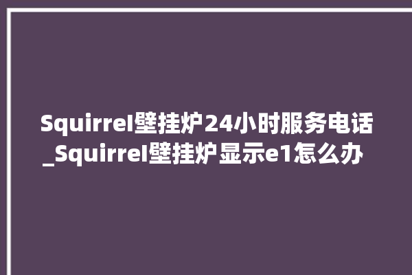 SquirreI壁挂炉24小时服务电话_SquirreI壁挂炉显示e1怎么办 。壁挂炉