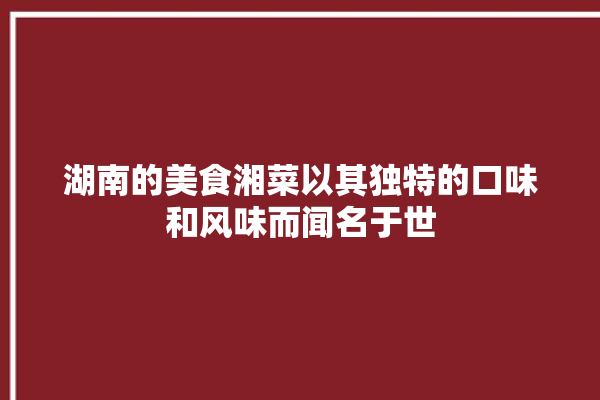 湖南的美食湘菜以其独特的口味和风味而闻名于世