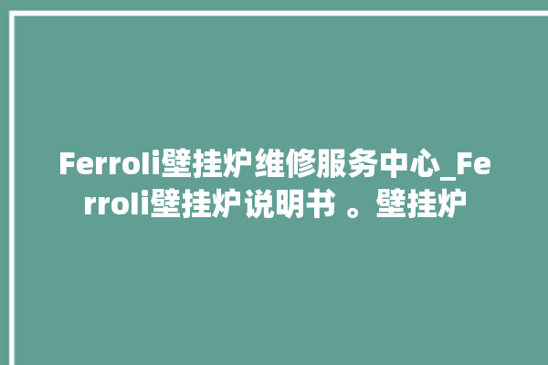 FerroIi壁挂炉维修服务中心_FerroIi壁挂炉说明书 。壁挂炉