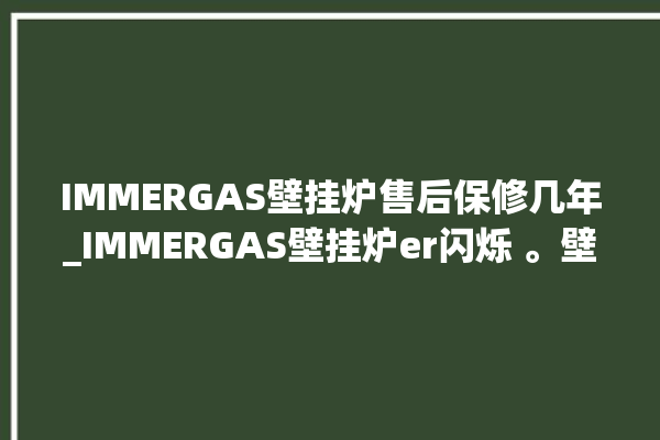 IMMERGAS壁挂炉售后保修几年_IMMERGAS壁挂炉er闪烁 。壁挂炉