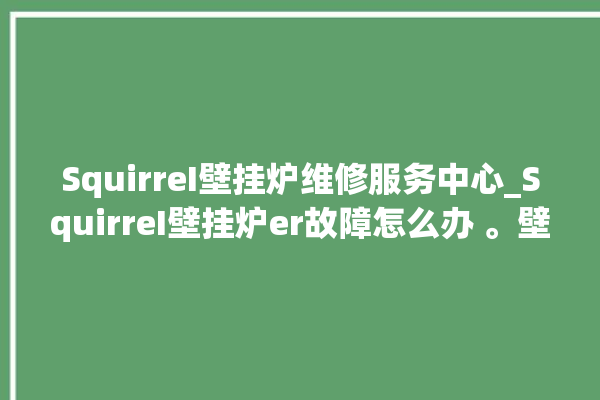 SquirreI壁挂炉维修服务中心_SquirreI壁挂炉er故障怎么办 。壁挂炉